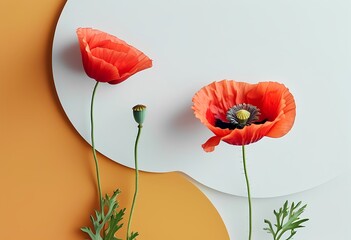 Obraz premium holiday