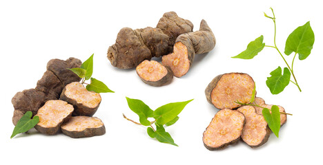 Chinese herbal medicine Polygonum Multiflorum (He Shou Wu) roots with leaves on white background.