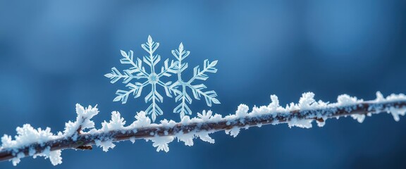 Obraz premium A single, intricate snowflake rests gently on a frosty branch, its delicate structure highlighted against the icy background, design, nature, art