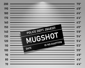 Police mugshot template. Vector background set of police lineup (centimeter scale and inch unit) or mugshot board with text signs for criminals photo. Criminal height wall. Identification frame
