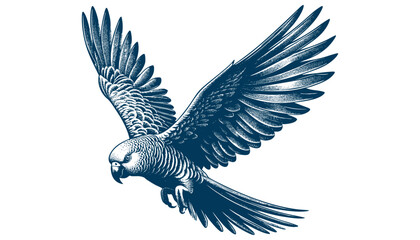 parrot vector