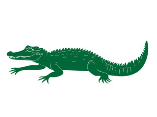 Green Crocodile Illustration with Detailed Scales and Features
