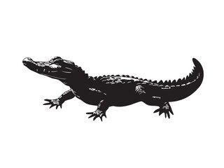 Fototapeta premium Black and White Illustration of a Crocodile with Detailed Features