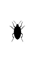 Black Silhouette of an Insect on a Light Background for Illustrations