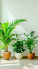 Obraz premium Lush Houseplants in Decorative Pots, Interior Greenery Decorating, Modern Home Decor Ideas