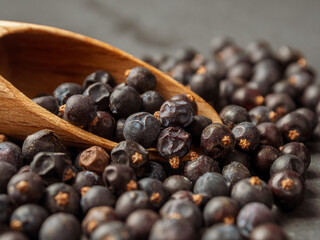 Bright juniper berries, create a calm and attractive natural background.