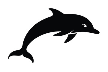 dolphin isolated on white