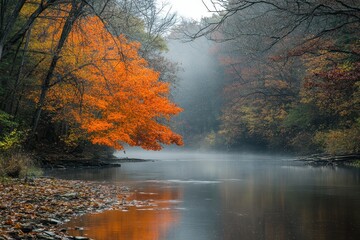 Beautiful autumn trees and their reflection on a serene body of water