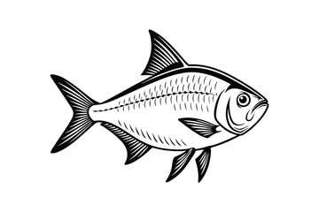 Fototapeta premium American Gizzard Shad fish vector, Fish silhouette