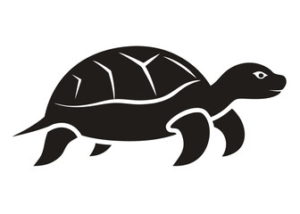 vector illustration of a turtle