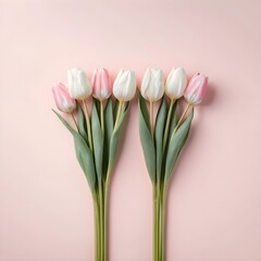 Pink and White Tulips on Pink Background