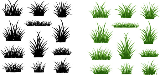 Set of grass vector on white background. Grass vector by hand drawing.
