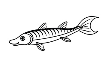 a lone barracuda searches for friendship does it s