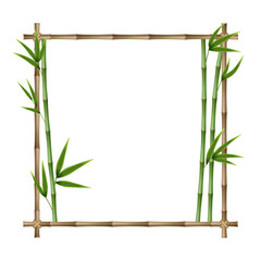 Bamboo frame made of stems and green leaves tied with a rope