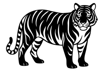 tiger vector illustration
