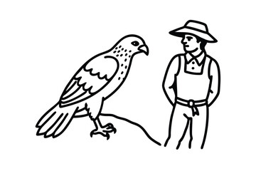 a red tailed hawk partners with a farmer to hunt 