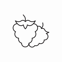 Raspberry berry fruit icon vector sign