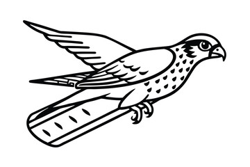 Obraz premium An osprey's fish stealing habit angers a river otter 