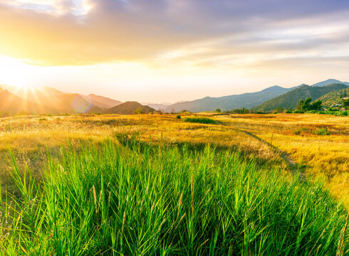 scenic landscape of green and golden sunset field in a valley between mountains with beautiful cloudy evening sky on background