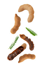 Falling Sweet Tamarind, cutout, full depth of field.