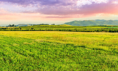 Fototapeta premium Scenic view at beautiful spring or summer sunset in a shiny meadow with golden grass and sun rays, deep beautiful cloudy sky and road, valley landscape