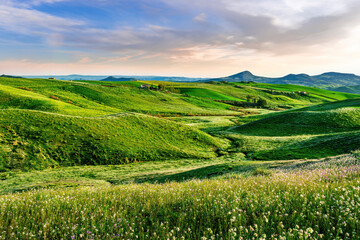 Fototapeta premium green flowering spring hills in rustic valley with rural road among blossoming grasslands leadung far away to a sunset cloudy sky above horizon