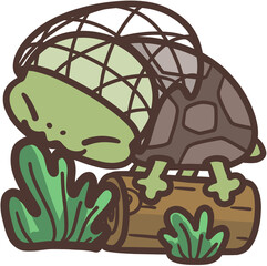 A baby turtle nibbles seaweed and wears a net on its head.