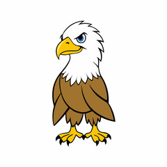 american bald eagle