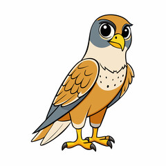 bird of prey