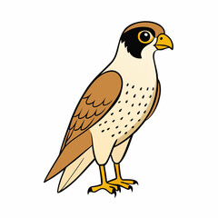 bird of prey