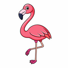 flamingo vector illustration