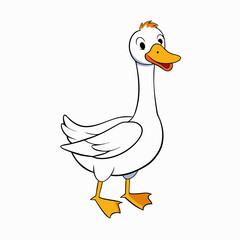 duck on white