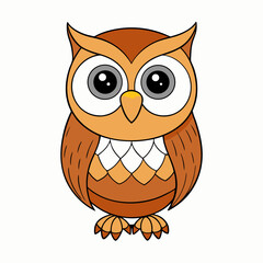 owl on white background