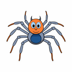 spider and web