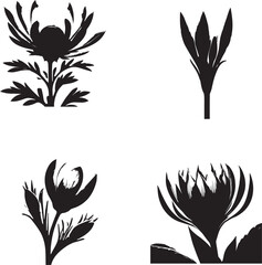 Floral seamless pattern .