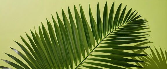 Obraz premium Single Palm Leaf on Pastel Green Background