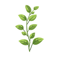 Green Plant Branch with Lush Leaves on White Background