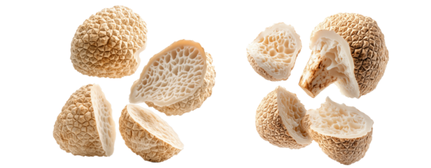 Set of white truffles isolated on white transparent background, great for culinary and gourmet themes.