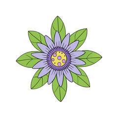 lotus flower isolated on white background