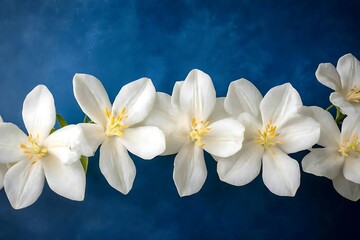 Naklejka premium Horizontal Row of Elegant White Flowers with Yellow Centers on a Deep Blue Backdrop