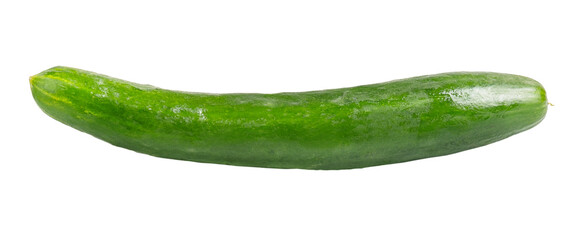 Fresh long cucumber isolated