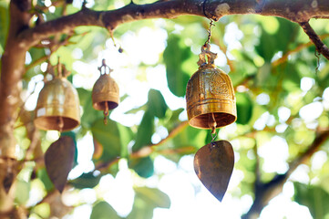 Golden bells hanging from a tree branch with green leaves in the background, creating a serene and...