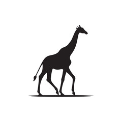 Giraffe silhouette isolated on white background Vector illustration