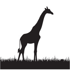 Giraffe silhouette isolated on white background Vector illustration