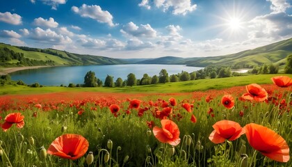 Idyllic Poppy Field by a Tranquil Lake
