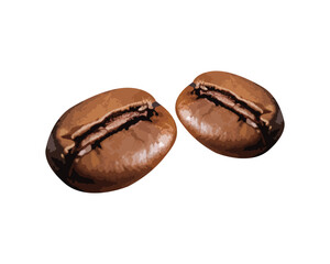 Roasted coffee beans vector. Drink, vector, coffee, cafe, roasted, espresso, caffeine, isolated, bean, cappuccino. Isolated on white background. 