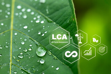 Close-up of Leaf with Water Droplets and Life Cycle Assessment Icons