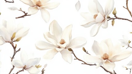 Seamless watercolor pattern of white magnolia flowers blooming in spring, isolated on a white background illustration