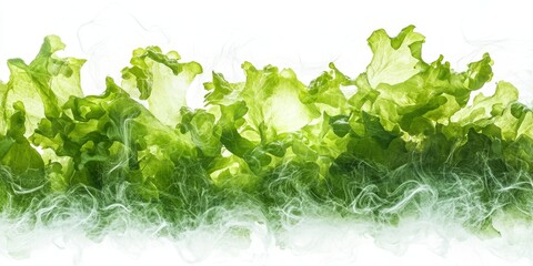 Fototapeta premium Green salad with white background, Generative AI