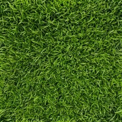 Lush Green Grass Texture